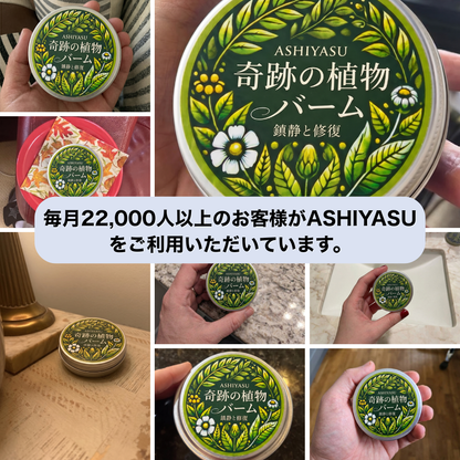 KOKOCHI 奇跡の植物 腰サポートケア