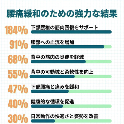 KOKOCHI 奇跡の植物 腰サポートケア